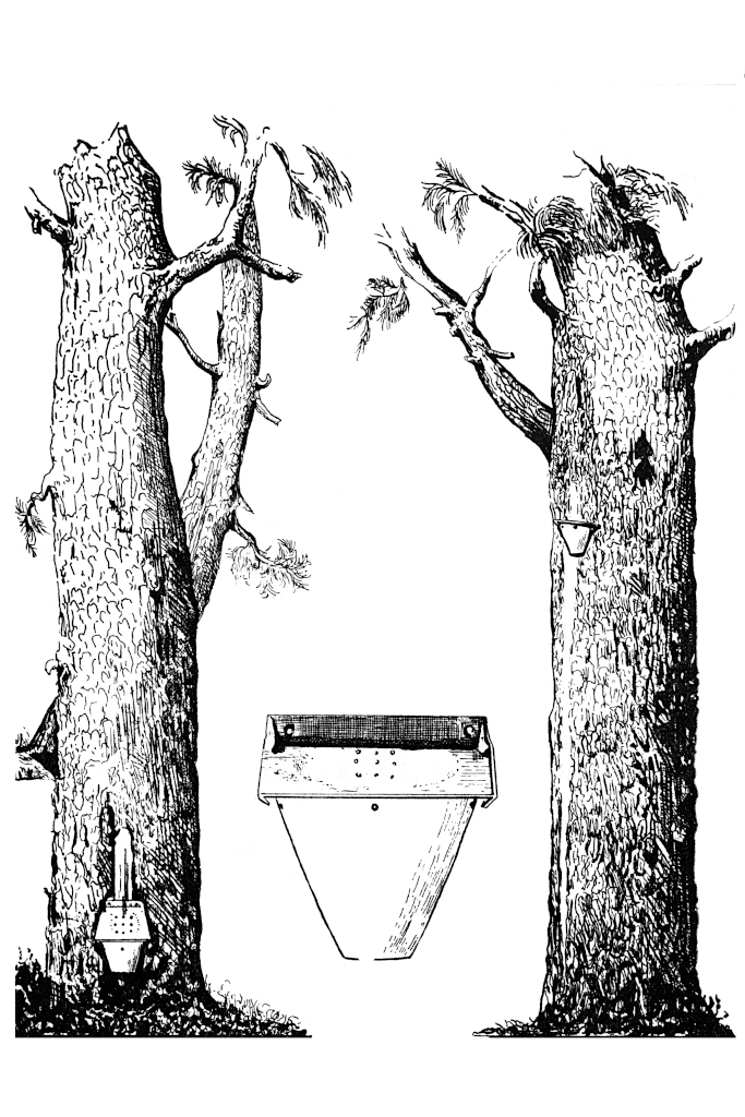 9b