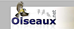 Oiseaux