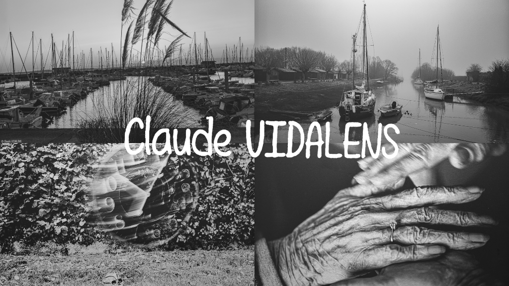 Vidalens